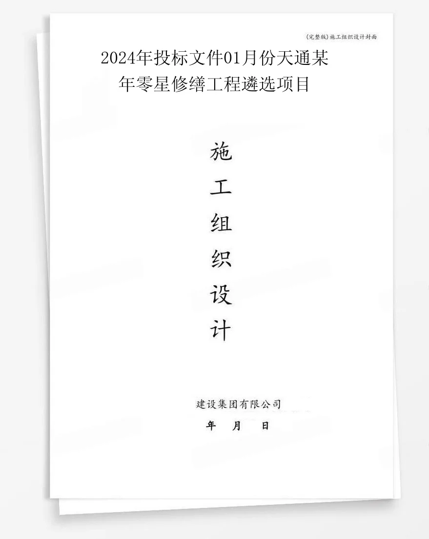 2024年投标文件01月份天通某年零星修缮工程遴选项目 封面