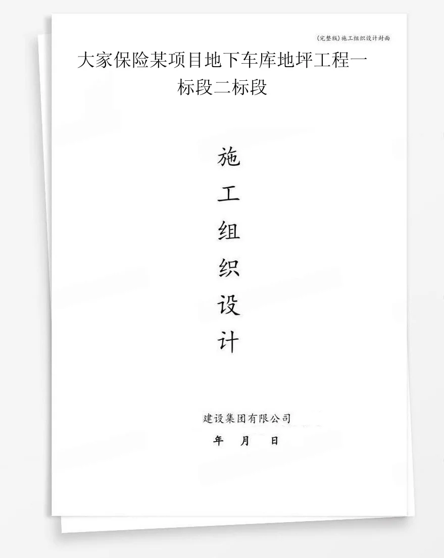 大家保险某项目地下车库地坪工程一标段二标段 封面