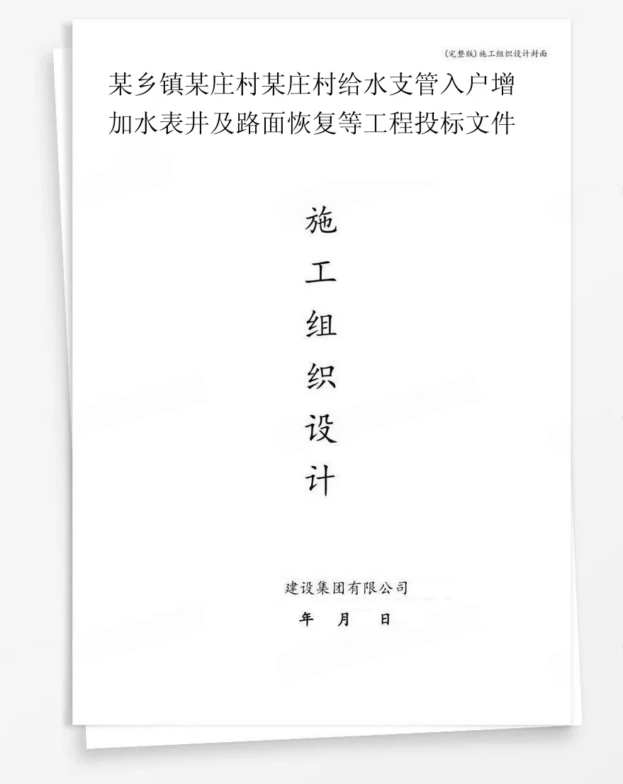 某乡镇某庄村某庄村给水支管入户增加水表井及路面恢复等工程投标文件 封面