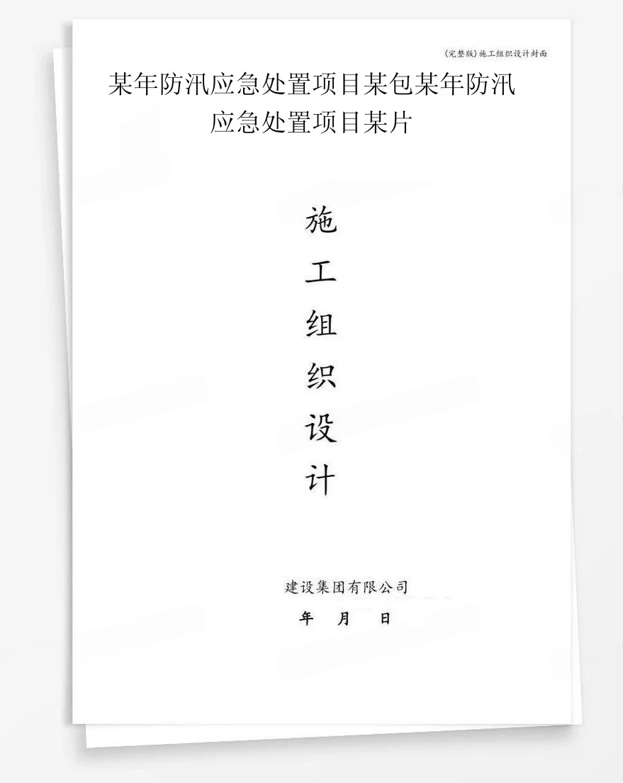 某年防汛应急处置项目某包某年防汛应急处置项目某片 封面